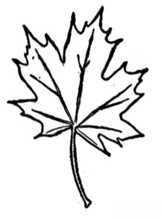 5252558_36 (525x700, 79Kb)