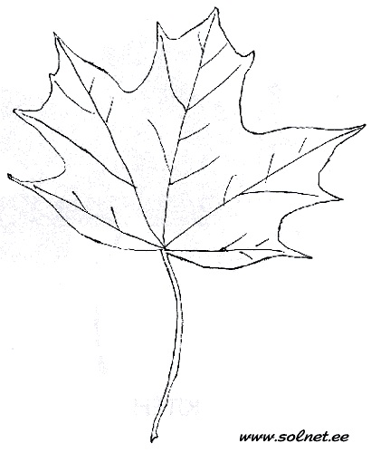 5252558_19 (410x500, 45Kb)