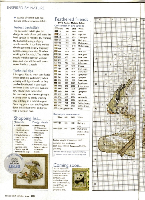 Cross Stitch Collection issue 126  022 (508x700, 331Kb)