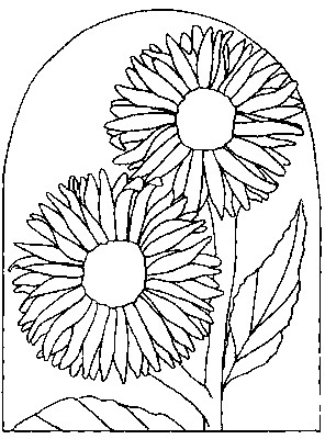 Sunflower6 (296x400, 106Kb)