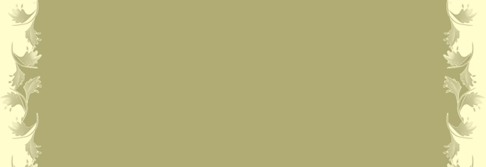 nm (700x240, 39Kb)