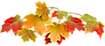 3869930_f0a844dcbf9e_1_ (150x66, 20Kb)