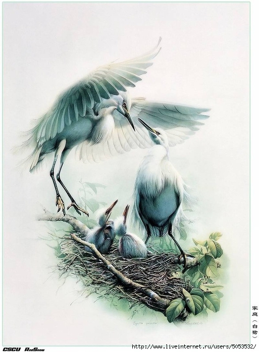 Мир птиц художника Зенг Ксяо 2 (513x700, 227Kb)