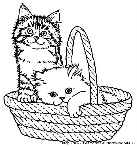 chat36_gif (483x512, 170Kb)