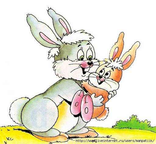 coelho colorido2 (512x474, 157Kb)