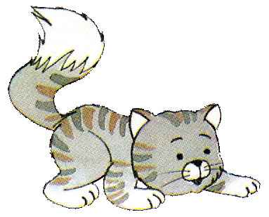 gato colorido (383x309, 113Kb)