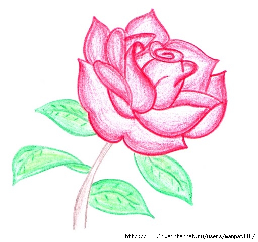 rosa colorida (512x481, 130Kb)