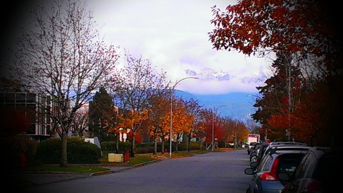 IMAG3355 (700x394, 116Kb)