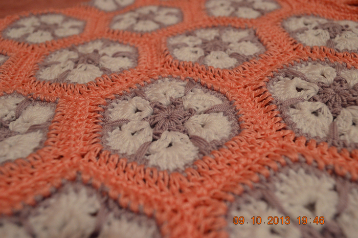 DSC_1040 (700x465, 423Kb)