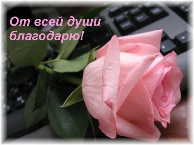http://img1.liveinternet.ru/images/attach/c/9/106/843/106843545_large_02979379d962.jpg