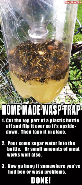 homemade-wasp-traps (283x640, 82Kb)