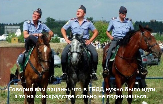 4309103_Policiya_i_konokradstvo (569x362, 193Kb)