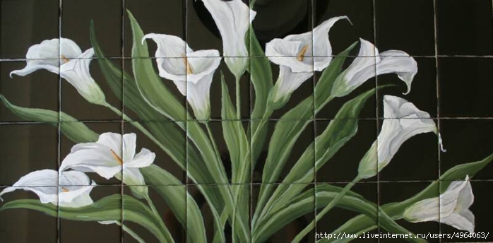 Cala_Lilies_Large (700x344, 158Kb)