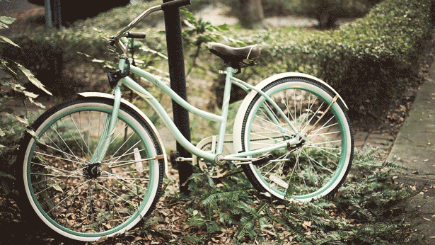 bike (615x346, 669Kb)