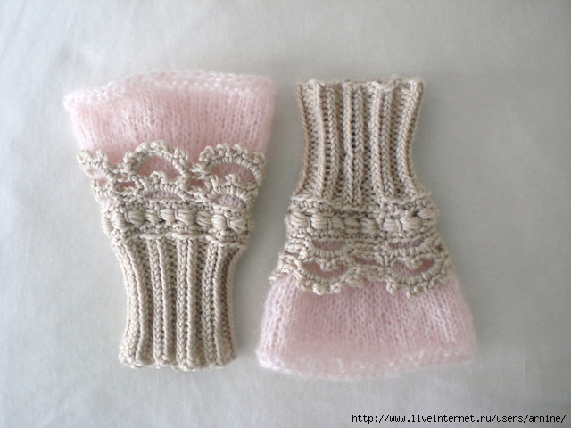 CIMG5644_medium2 (640x480, 203Kb)