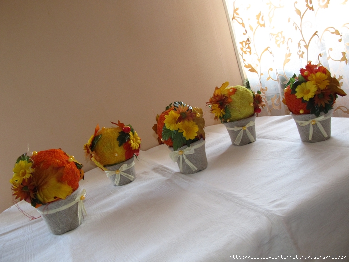 IMG_5126 (700x525, 249Kb)