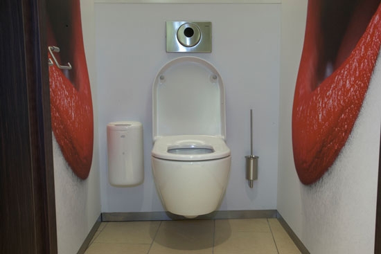 унитаз туалет9 (550x367, 74Kb)