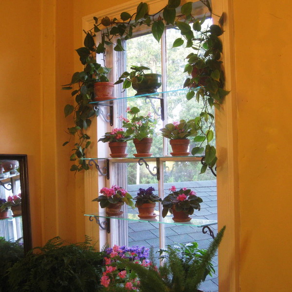 Стеклянная полка на окно для цветов