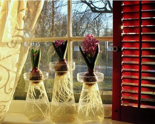windowsill-decorating-ideas-plants3 (500x400, 140Kb)