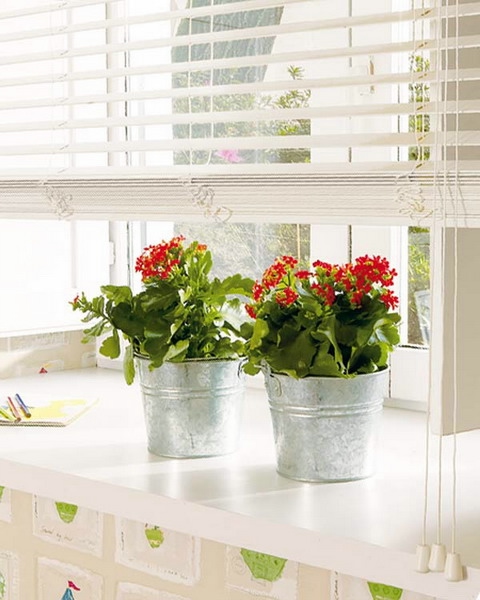 windowsill-decorating-ideas-plants9 (480x600, 137Kb)