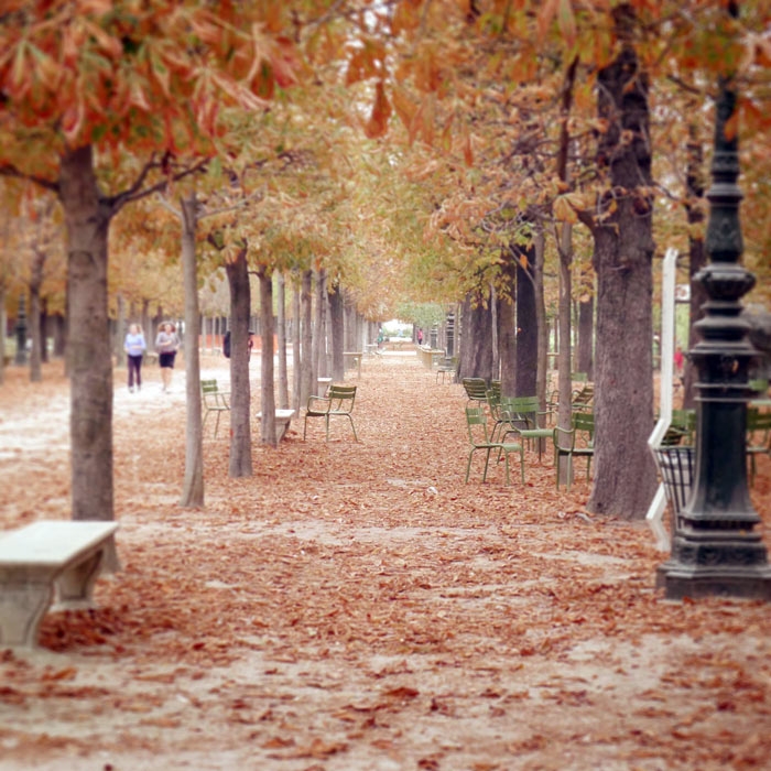 autumn-paris-16 (700x700, 341Kb)