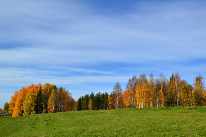 1375650_624889050884167_1437301786_n (700x466, 264Kb)