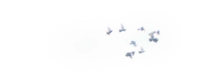 3362798_Bezierggmtheni1 (700x240, 133Kb)