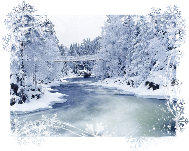 Winter_wallpapers_Winter_Forest_019431_ (650x520, 694Kb)