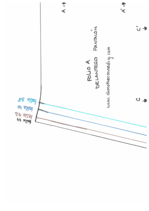 viewer (495x700, 64Kb)