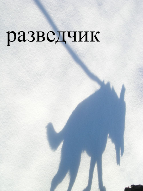 foto-sobaki.narod.ru23 (500x667, 47Kb)