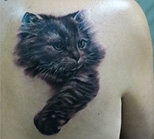 Тату салон художественной татуировки Tattooformat (12) (154x139, 16Kb)