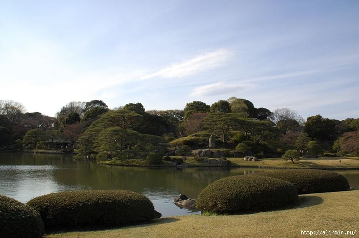 Сад  икугиэн Rikugien garden (яп. 六義園  икугиэн) 14 (700x465, 201Kb)
