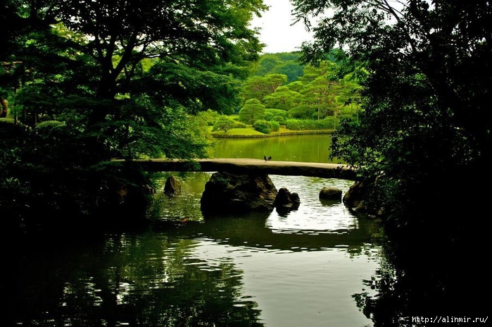 Сад  икугиэн Rikugien garden (яп. 六義園  икугиэн) 11 (700x464, 282Kb)