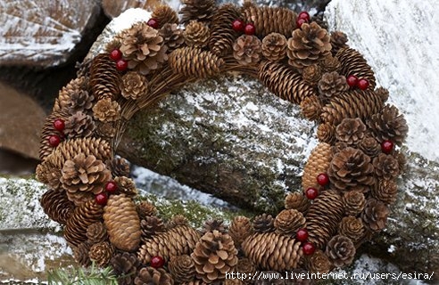 tesco-natural-pine-cone-lg-gt_full_width_landscape (492x320, 162Kb)