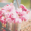 2245788_tumblr_lssp2qaBDj1qjl02uo1_500 (100x100, 30Kb)