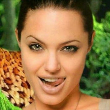 Angelin Jolie (355x355, 64Kb)