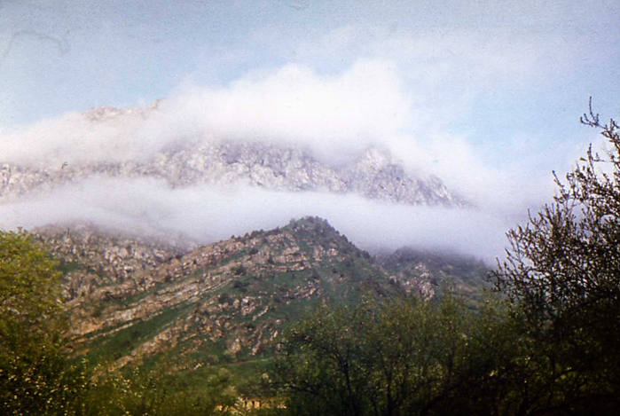 img002 (700x469, 328Kb)