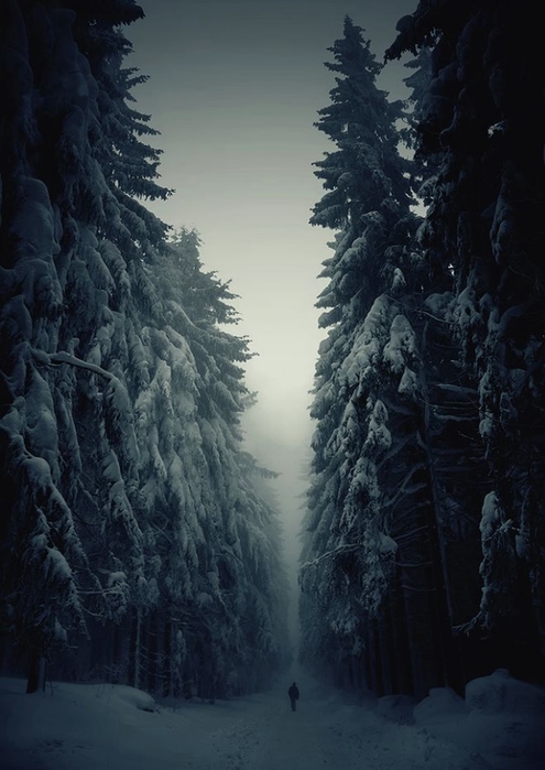 WinterLandscapes01 (495x700, 202Kb)