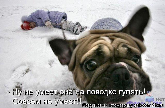 1386702355_1 (640x420, 46Kb)
