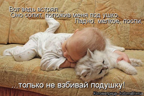 1386702435_8 (600x400, 58Kb)