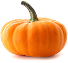 pumpkin (140x130, 7Kb)