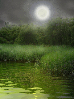 3018202-3c263a4f7c1d18c0 (240x320, 285Kb)