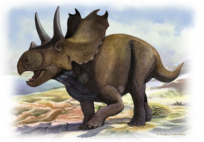 5402287_agujaceratops (700x488, 89Kb)