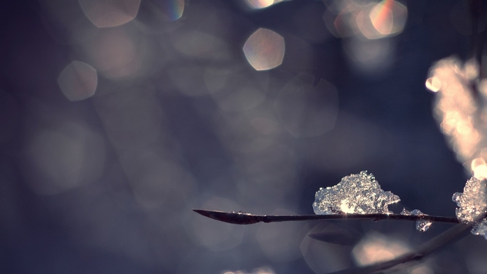 272211-1366x768 (700x393, 112Kb)