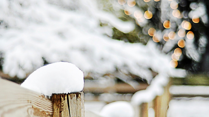 576979-1366x768 (700x393, 158Kb)