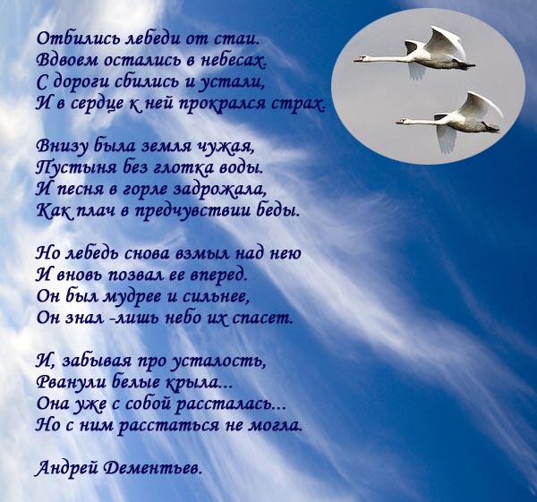 Песня давай полетим. Стихотворение мы. Авторские стихи. Стихи про пролетевшие года.