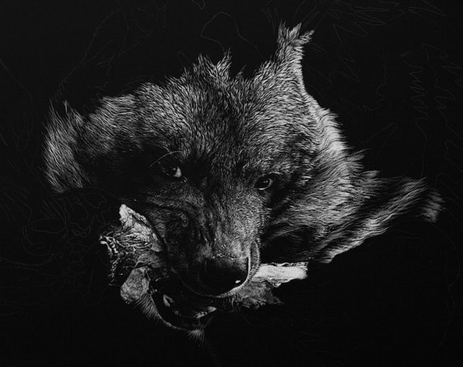 3623822_k05 (670x531, 133Kb)