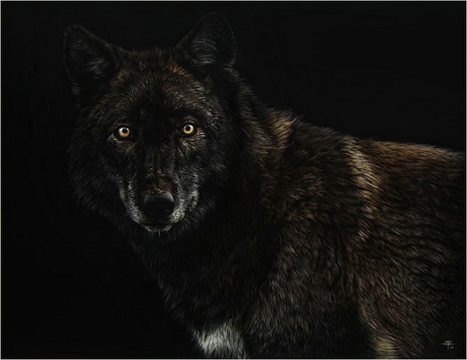 3623822_k02 (670x517, 97Kb)