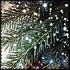 4728325_ava_8 (100x100, 26Kb)