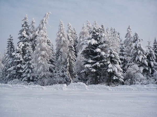 4242220_winter_landscape_by_alancrazyd6yh66s (600x450, 159Kb)